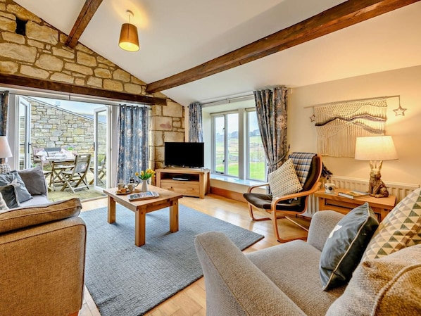 TV, fireplace - 2 Bed in Morpeth (oc-61267) (Rothbury)