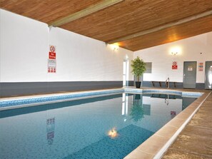 An indoor swimming pool with tiled walls, a wooden ceiling, and multiple 'No Diving' signs. - 2 Bed in Newton Abbot (oc-61775) (Ipplepen)