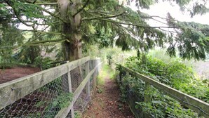 A pathway bordered by a wooden fence and wire mesh, surrounded by dense greenery and trees. - 3 Bed in Morpeth (oc-63025) (Rothbury)