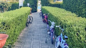 A paved pathway lined with neatly trimmed hedges and bicycles parked along the side. - Casa Onde Chiare - Pizzo Beach Club 16G (Contrada Difesa II)