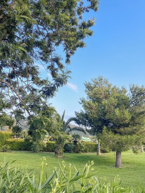 Ein üppiger, grüner Park mit Bäumen und Gras.