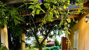 Ein Essbereich im Freien mit einer Pergola, einem Tisch für sechs Personen und weißen Metallstühlen.