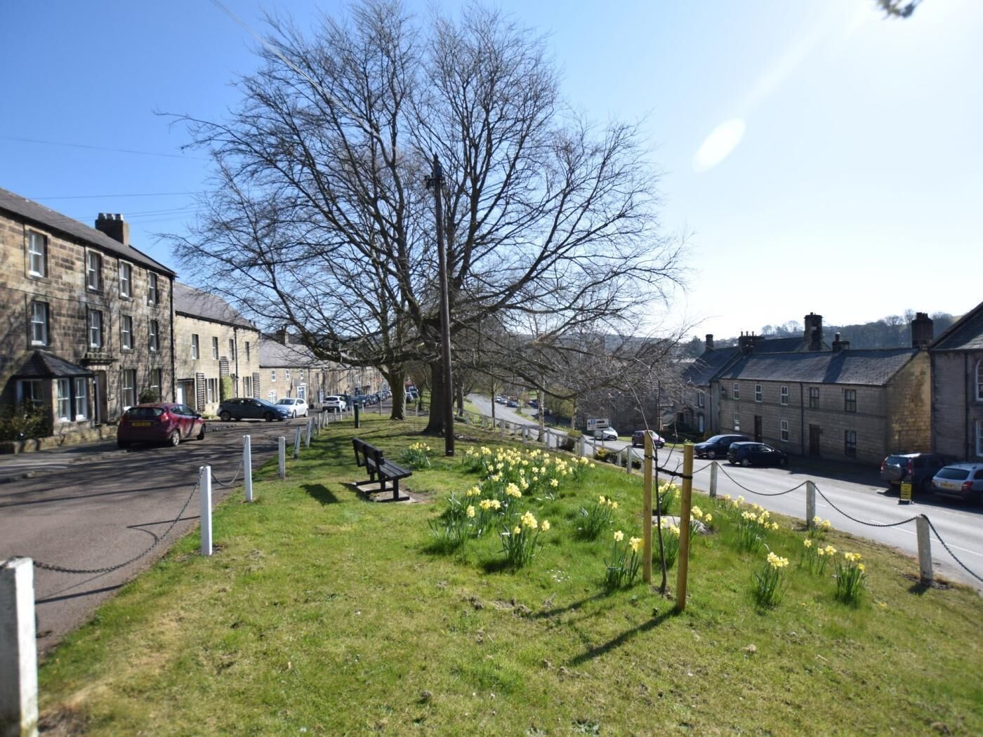 A residential street with houses, a bench, and daffodils in the foreground.