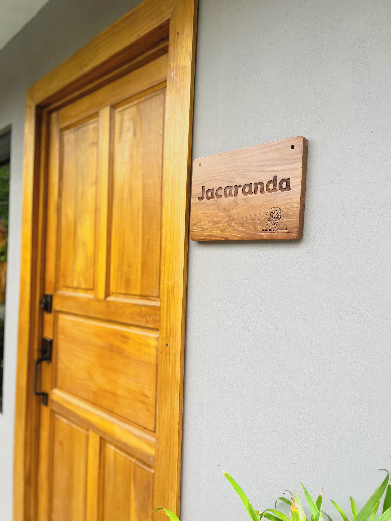 A wooden door with a plaque that reads 'Jacaranda' and a logo for 'Tropical apartments'.
