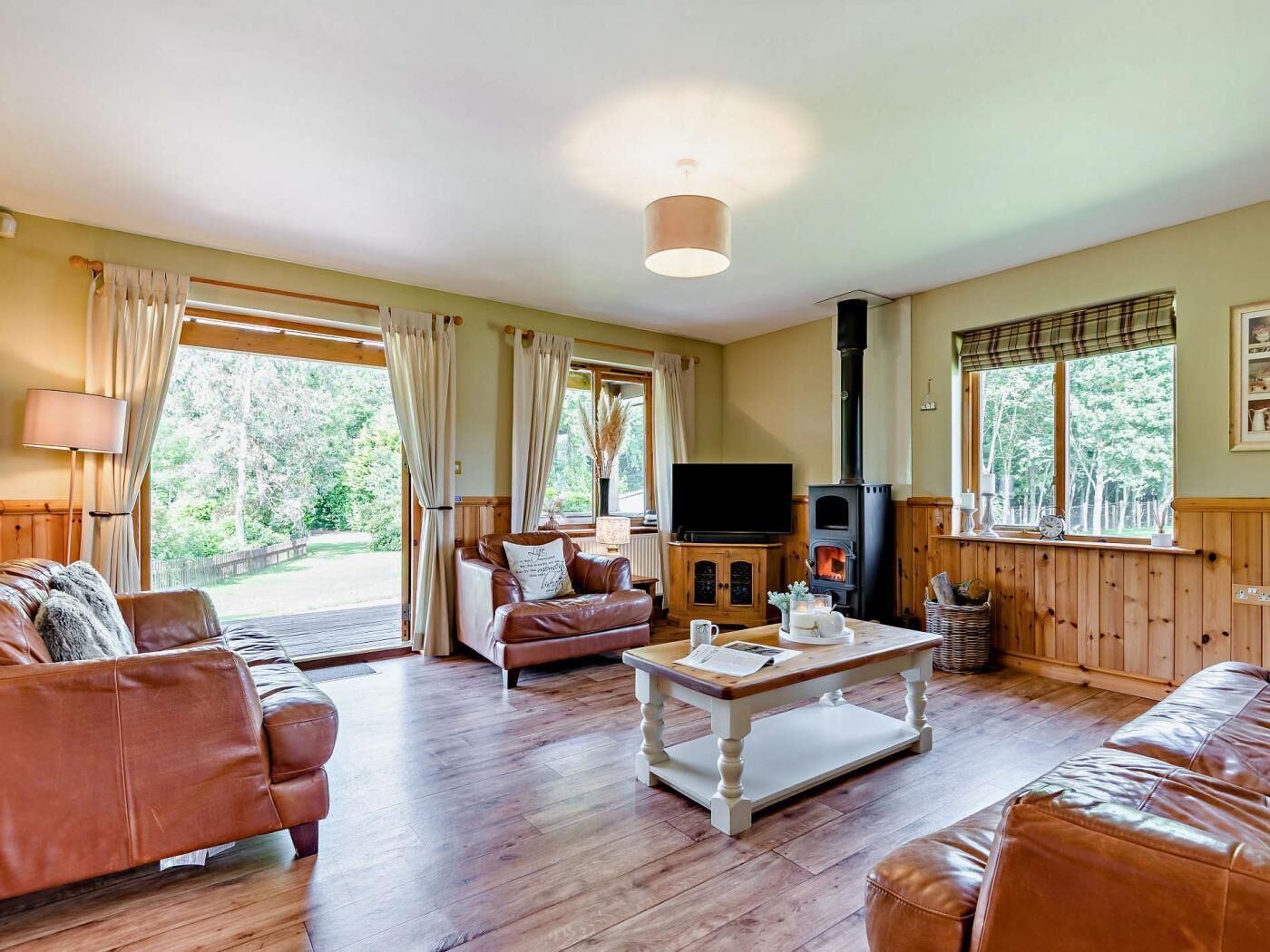 TV, fireplace