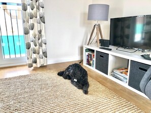 Ein Wohnzimmer mit Hund, Fernseher und Bücherregal.
