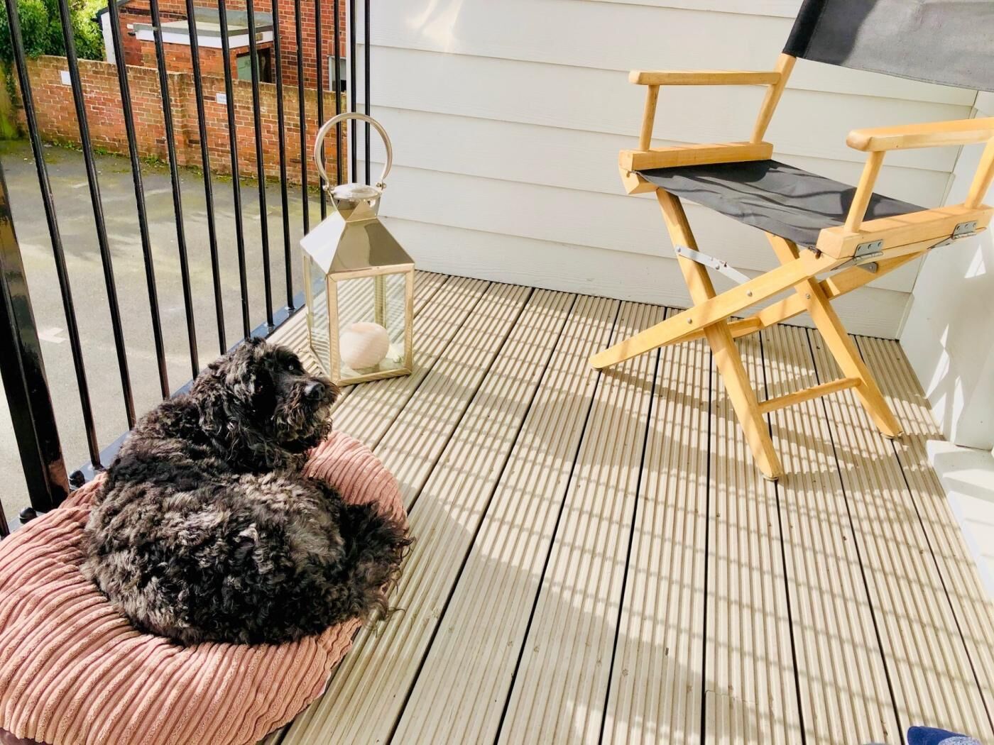 Een hond op een roze kussen op een houten terras, een lantaarn en een houten stoel.