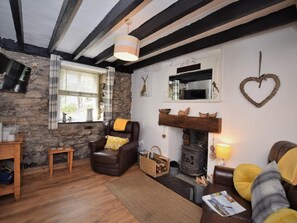 TV, fireplace - 1 Bed in Caernarfon (oc-77891) (Llanaelhaearn)