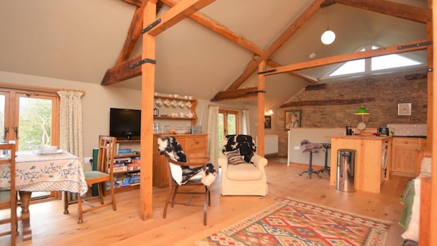 A spacious living area with wooden beams, a dining table with chairs, a sofa, a television, and a kitchen area with a sink and counter.