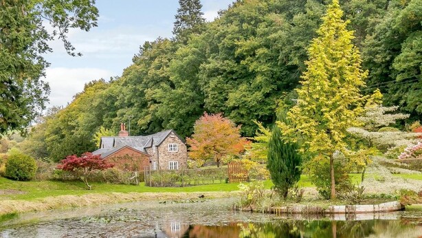 Ein Haus mit Teich, umgeben von Bäumen und einem Wald.