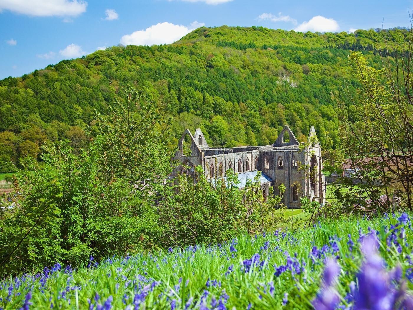 Un bâtiment historique à l’architecture gothique, entouré d’une végétation luxuriante et d’un champ de fleurs violettes.