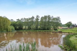A calm pond with lily pads, surrounded by trees and a small building in the background.