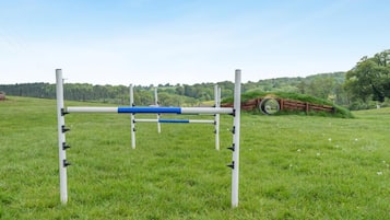 Een grasveld met een hindernisbaan in blauw en wit.