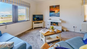 تلفزيون