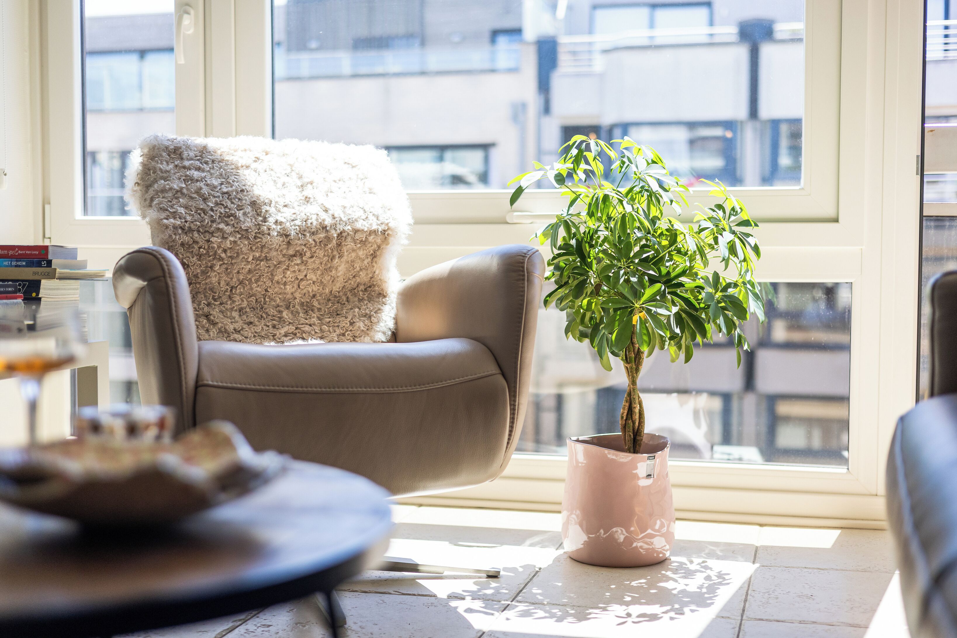 Un saló modern amb un butac armchair de cuir, una planta en test i una vista de la ciutat a través de grans finestres.