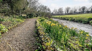 Ein Kiesweg entlang eines Flusses mit gelben Blumen und Bäumen im Hintergrund.