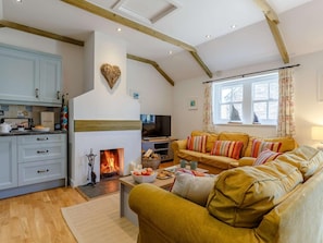 TV, fireplace - 2 Bed in Wadebridge (oc-82681) (Little Petherick)