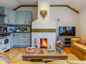 TV, fireplace - 2 Bed in Wadebridge (oc-82681) (Little Petherick)