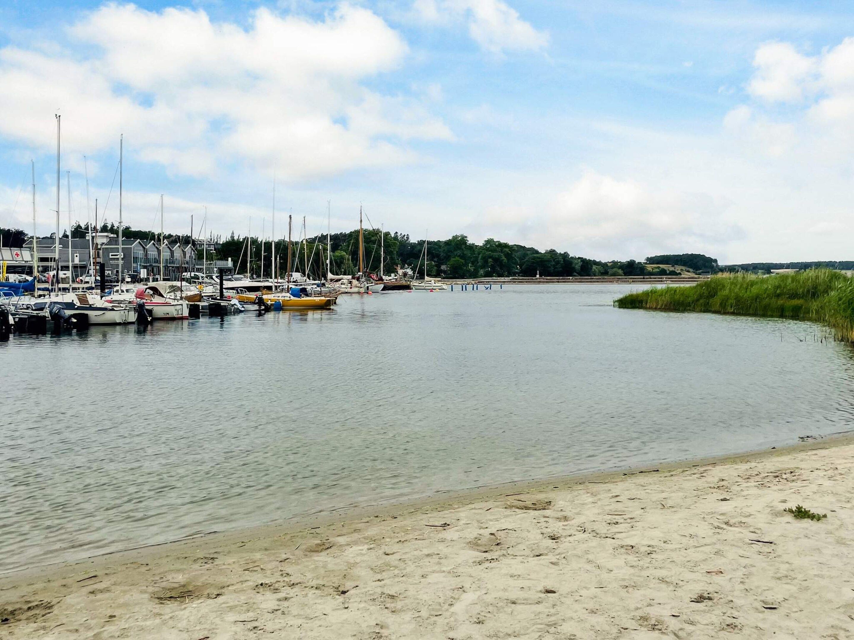 Una marina con barcos amarrados, una playa arenosa y una colina boscosa al fondo.