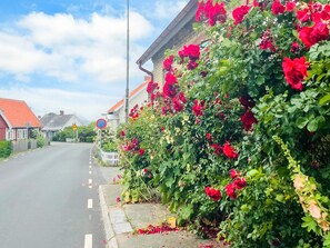 A road with a white fence and a building with red flowers. - 5 Person Holiday Home in Kivik (Kivik)