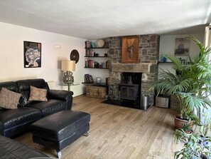 Fernseher, Kamin