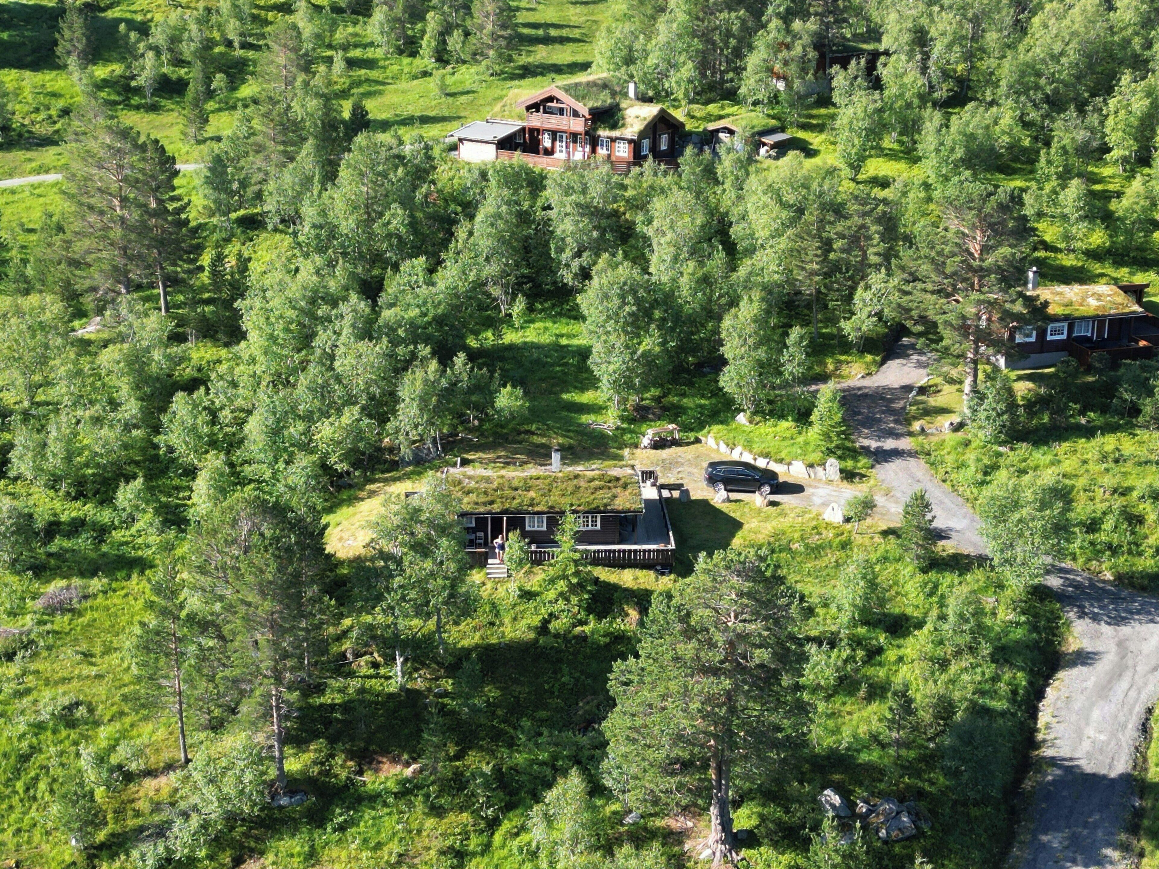 Eksteriør