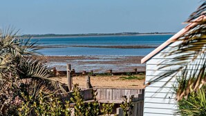 A beach view with a wooden fence, palm trees, and a distant shoreline. - 2 Bed in Whitstable (oc-83291) (Whitstable)