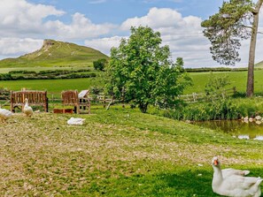 Property grounds - 3 Bed in Great Ayton (oc-83328) (Great Ayton)