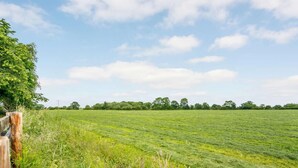 Ein grasbewachsenes Feld mit Holzzaun und Bäumen im Hintergrund.