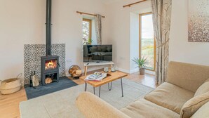 A living room with a fireplace, a sofa, a TV, and a window with curtains. - 1 Bed in Aberystwyth (oc-83551) (Llanilar)