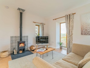 TV, fireplace - 1 Bed in Aberystwyth (oc-83551) (Llanilar)