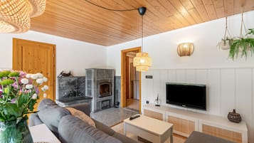 Una televisión, una chimenea