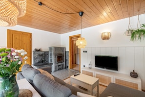 Fernseher, Kamin