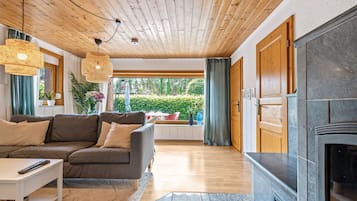 Fernseher, Kamin