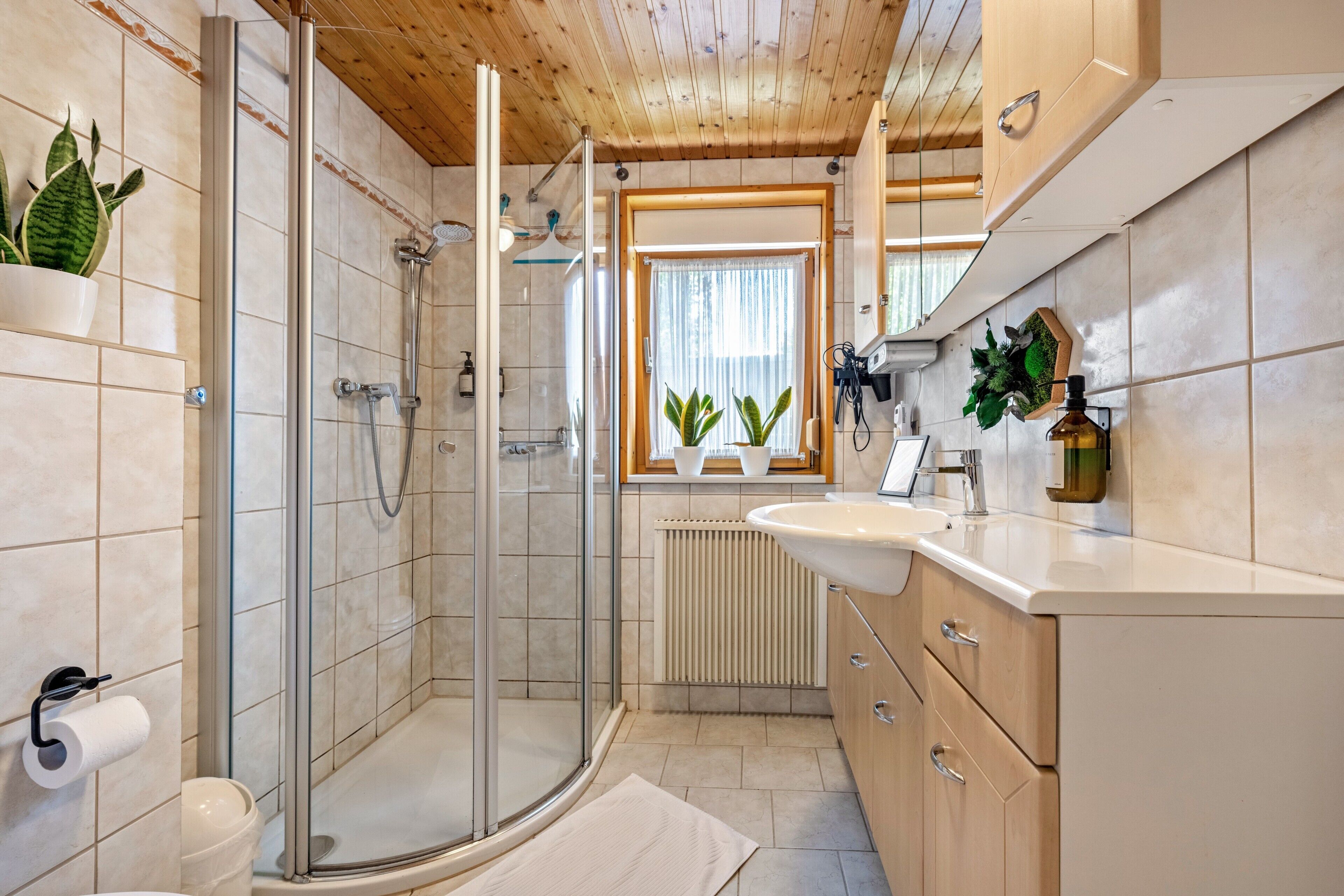 Dusche, Haartrockner, Handtücher