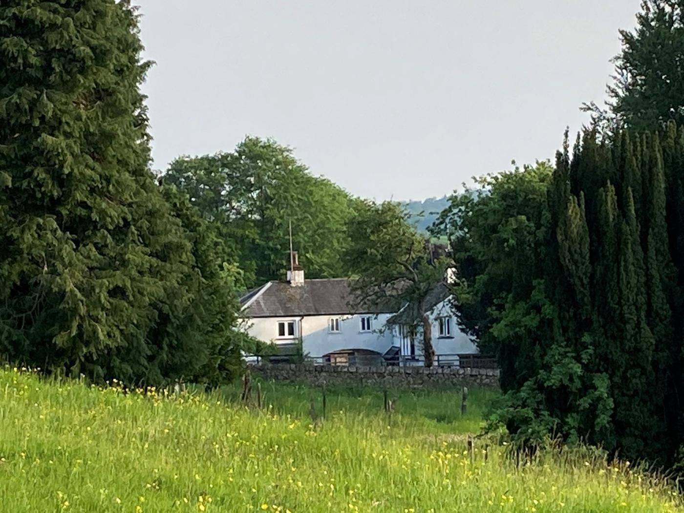 Une maison entourée d’arbres et donnant sur un champ.