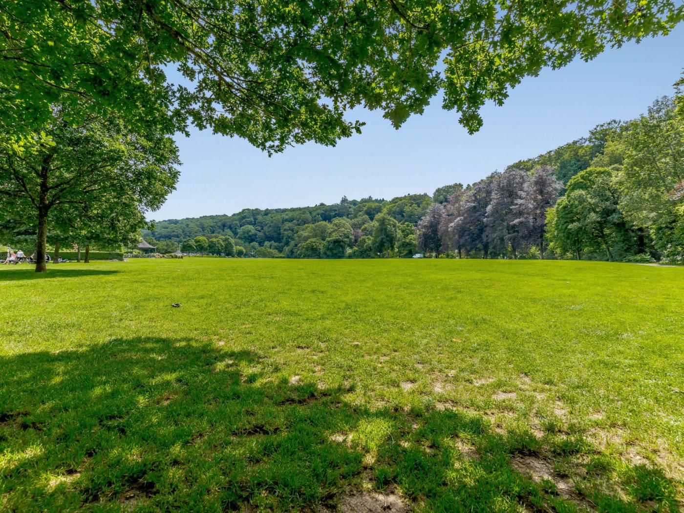 A park with a grassy field, trees, and a hill in the background.