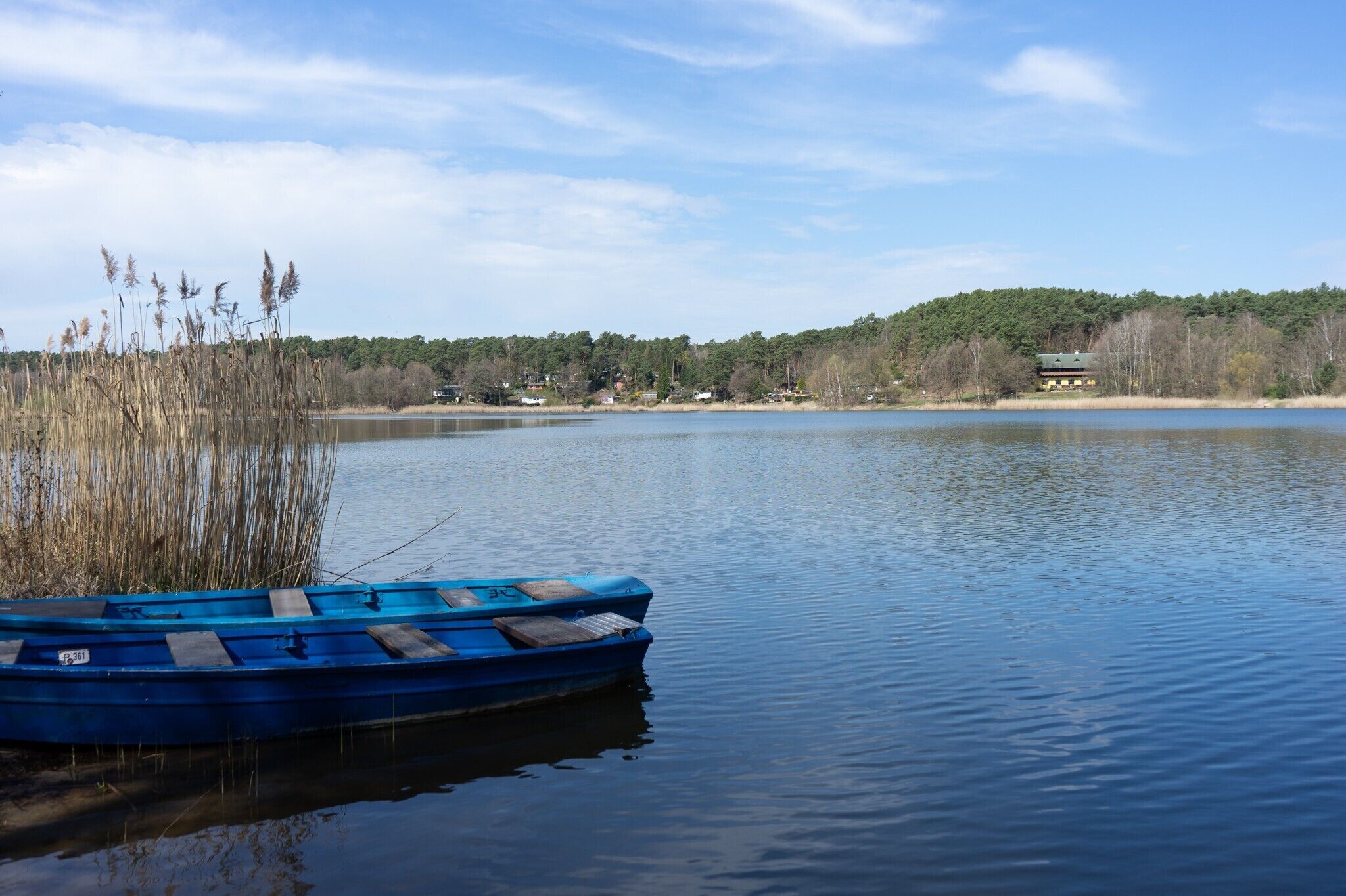 Un lago tranquillo con una barca blu ormeggiata a sinistra, circondato da canneti.