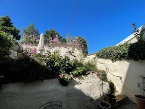 A courtyard with potted plants, a white wall, and a clear blue sky. - 3 Bed in Barnstaple (oc-85884) (Barnstaple)