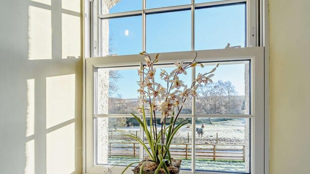 A window with a view of a snowy landscape and a potted orchid plant on a windowsill. - 2 Bed in Hawick (oc-86021) (Hawick)