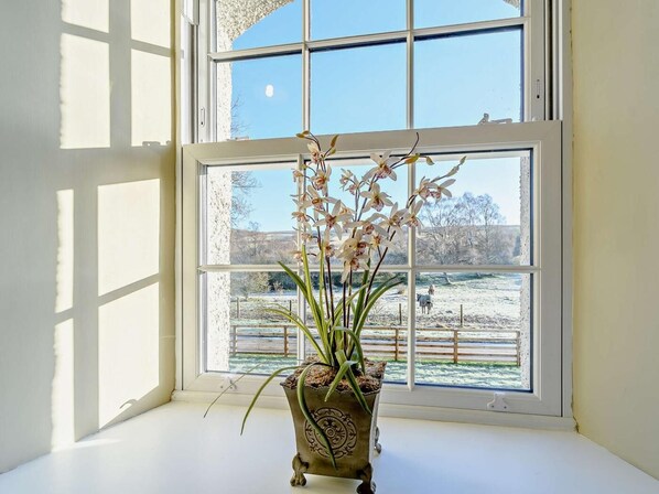 Interior - 2 Bed in Hawick (oc-86021) (Hawick)