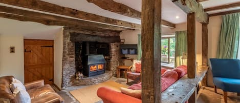 TV, fireplace