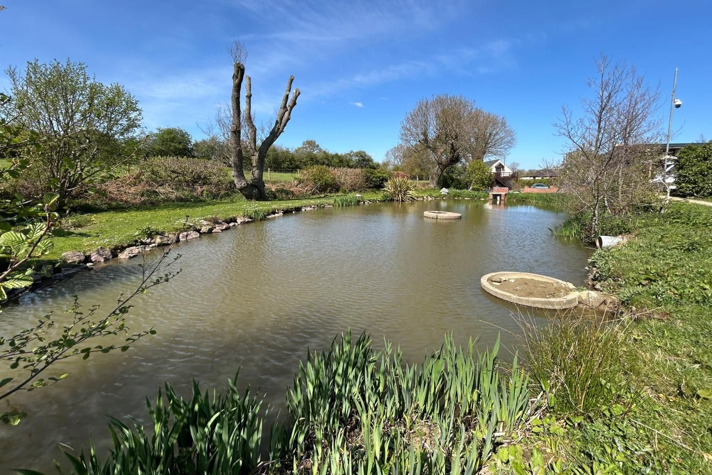 Un étang paisible avec une petite île, entouré d’une végétation luxuriante et d’arbres.