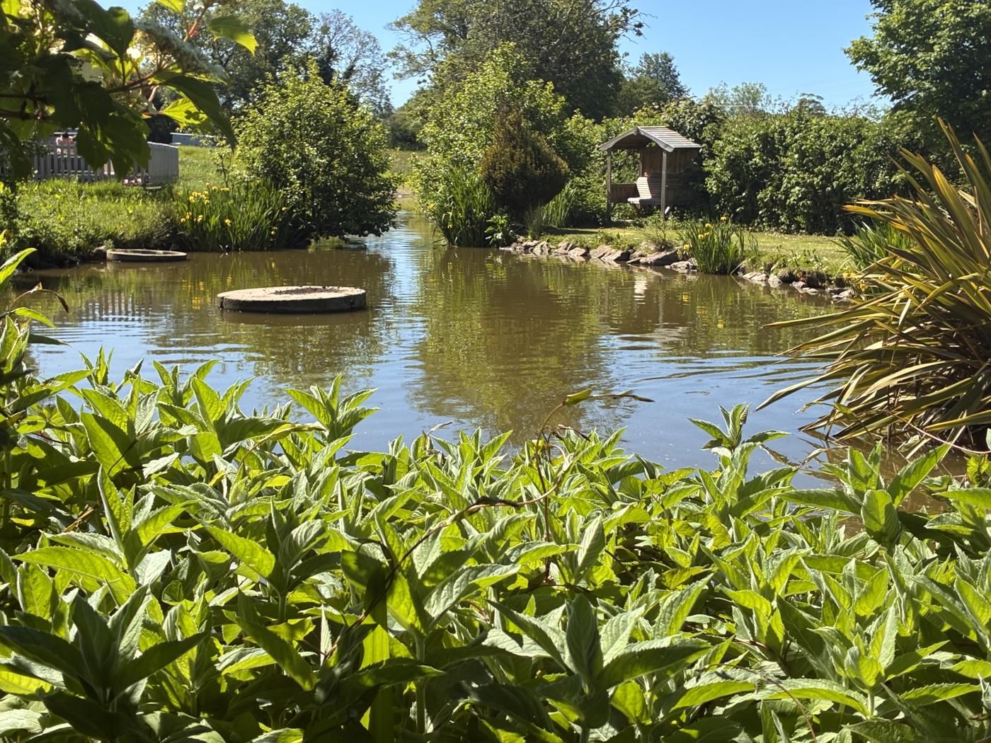 A tranquil pond with surrounding greenery and a wooden structure.