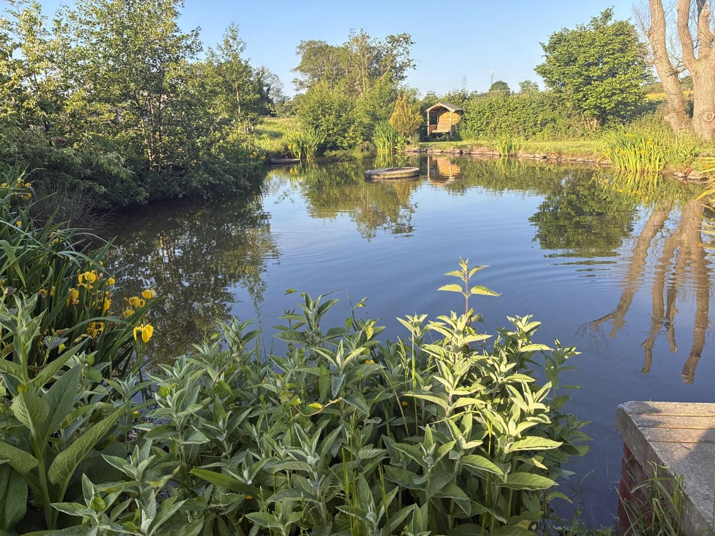 A calm river with lush greenery and a wooden structure in the distance.