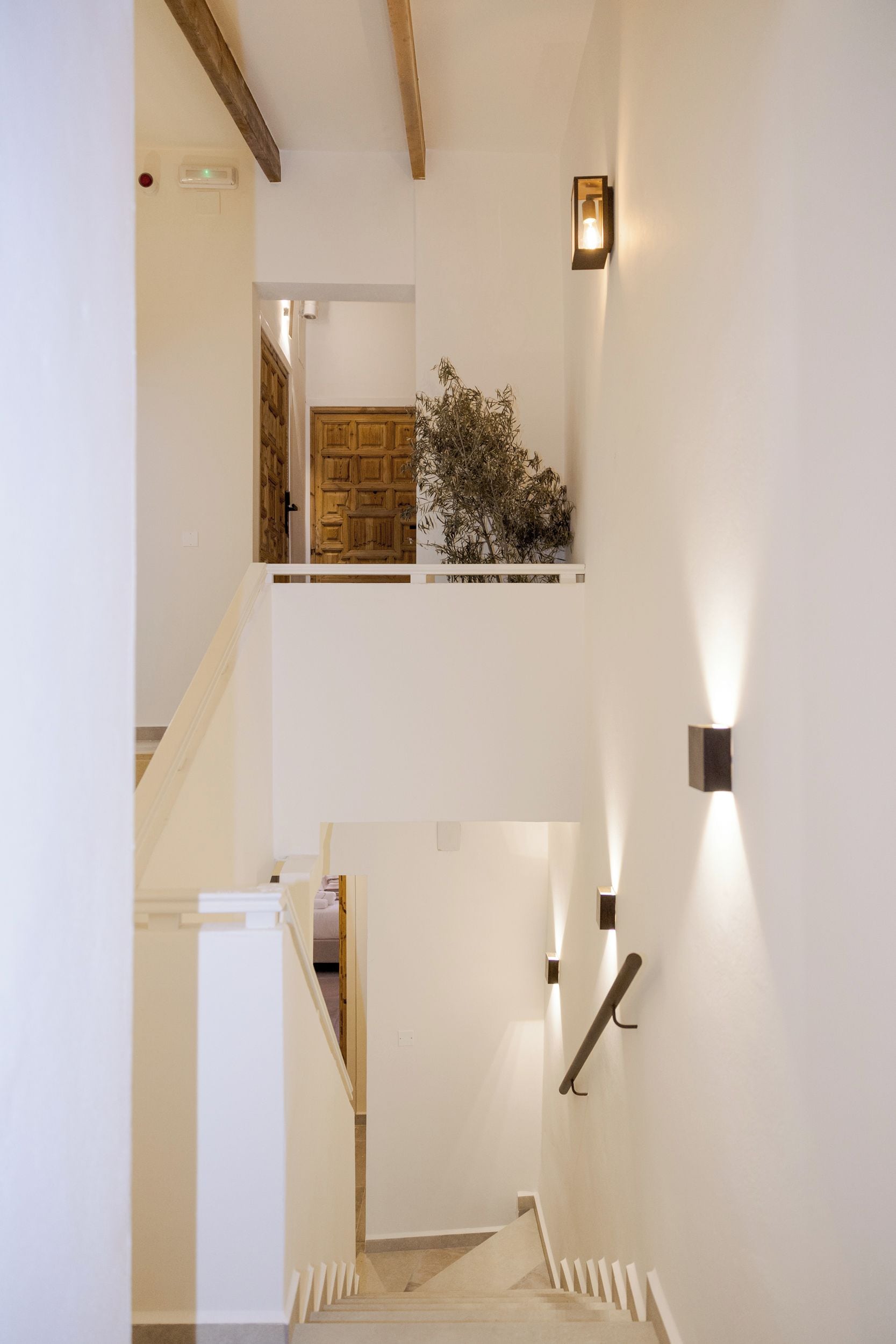 Una escalera con barandilla, una puerta de madera y una planta.