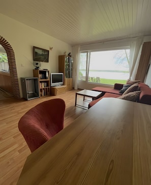 Televisor i llar de foc 