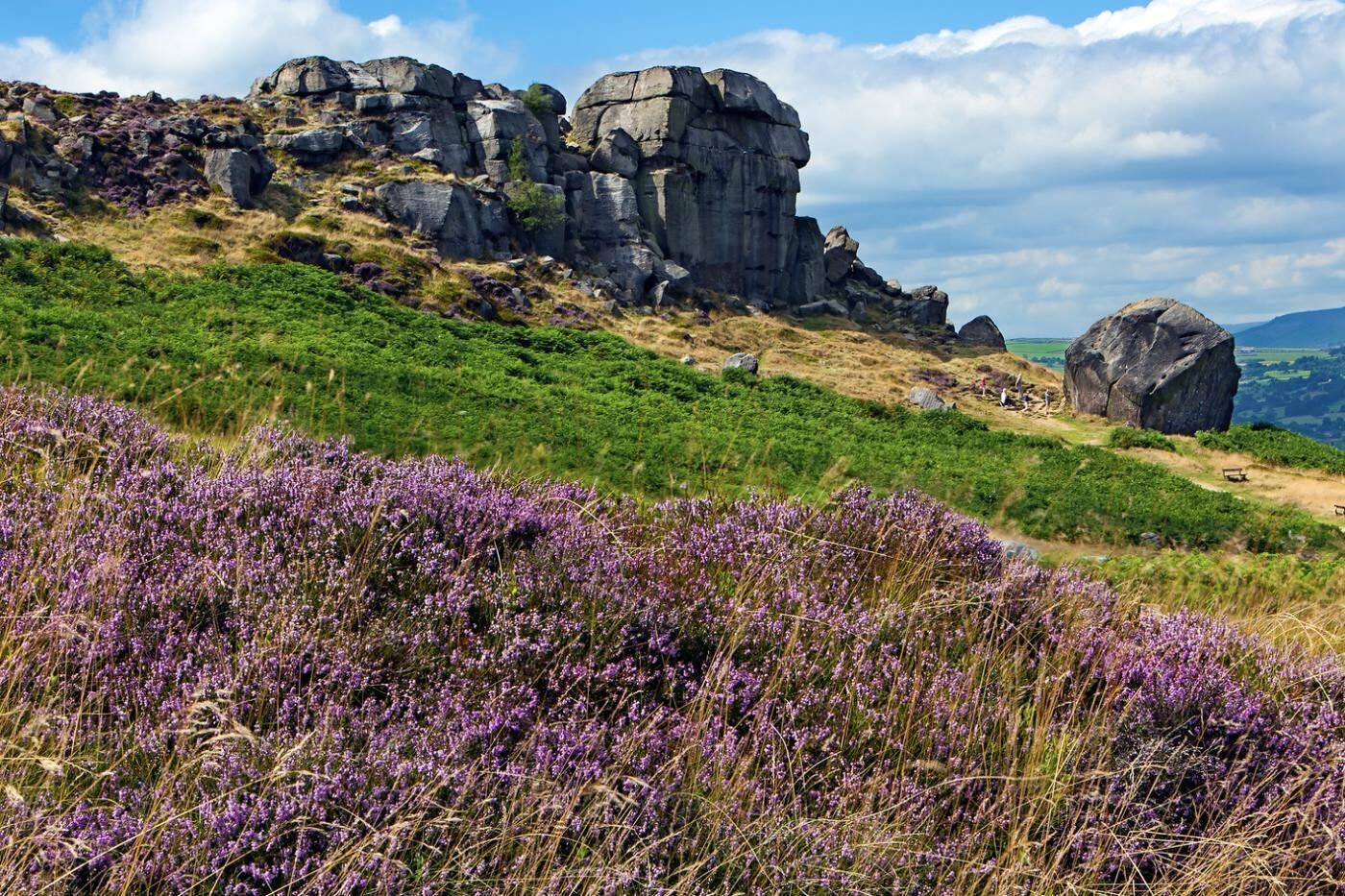 Een natuurlijk landschap met rotsformaties en paarse heide.