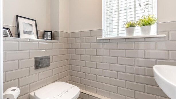 Ein Badezimmer mit Toilette, Ablagefläche mit gerahmten Bildern und Fenster mit Pflanzen.
