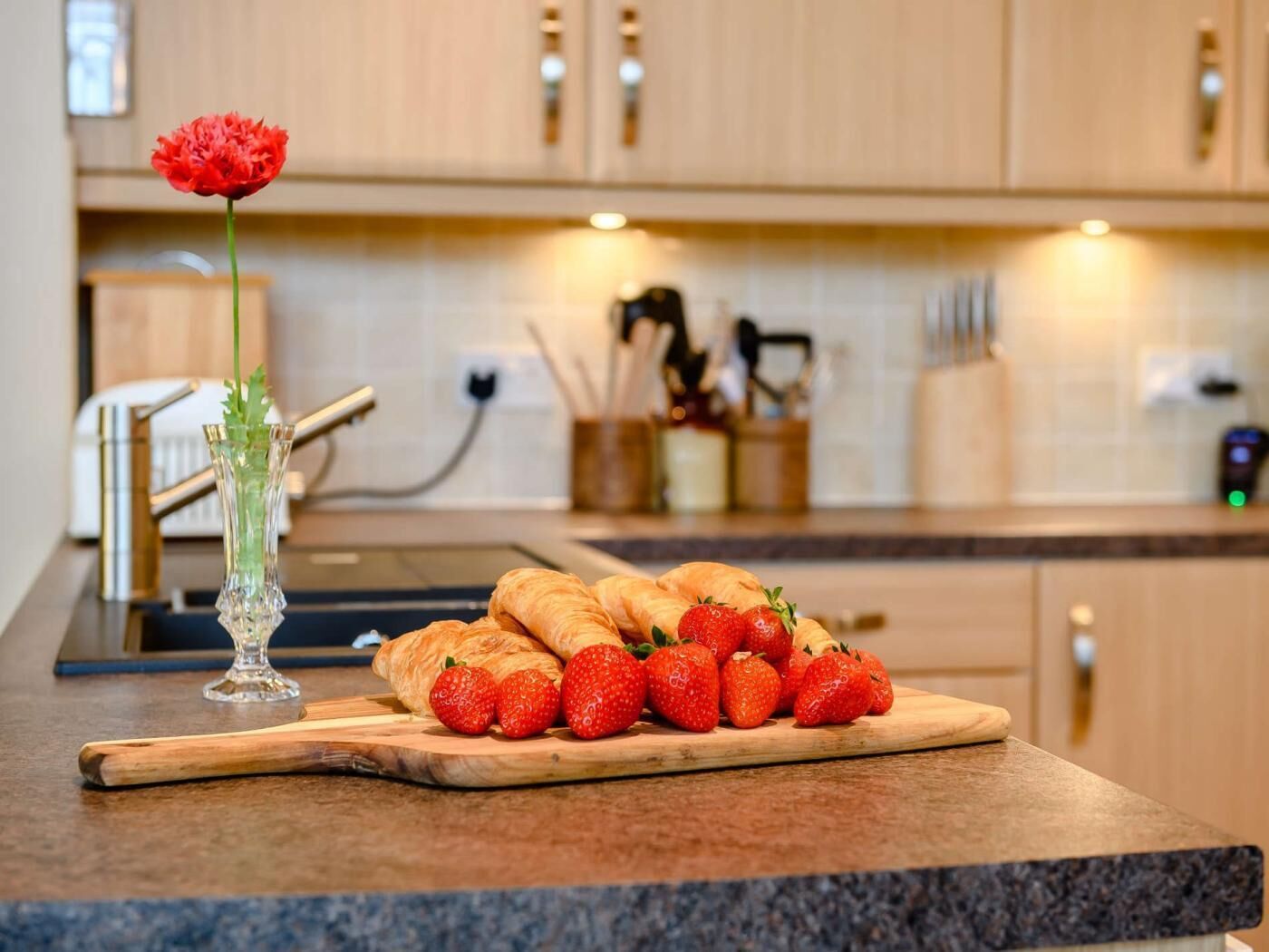 Oven, dishwasher, cookware/dishes/utensils